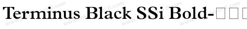 Terminus Black SSi Bold字体转换